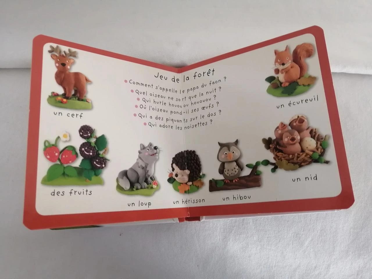 l'imagerie des bébés - la forït – photo 7